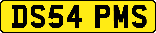 DS54PMS