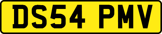 DS54PMV