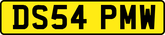 DS54PMW