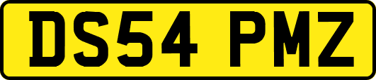 DS54PMZ