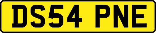 DS54PNE