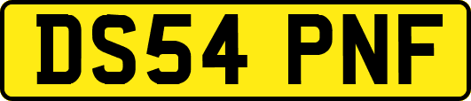 DS54PNF