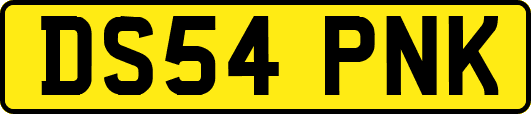 DS54PNK