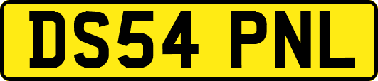 DS54PNL