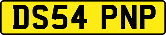 DS54PNP
