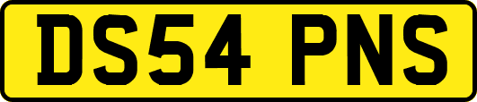 DS54PNS