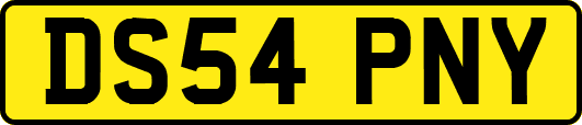 DS54PNY