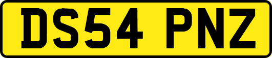 DS54PNZ