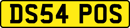 DS54POS