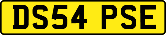 DS54PSE