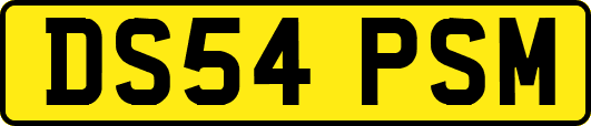 DS54PSM