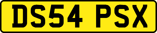 DS54PSX