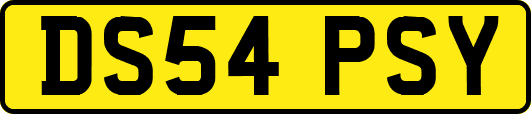 DS54PSY