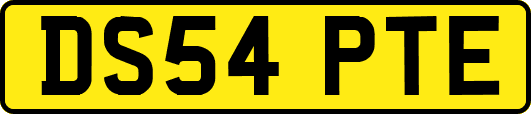 DS54PTE