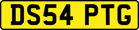 DS54PTG