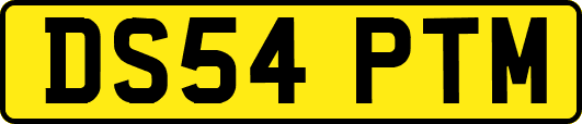 DS54PTM