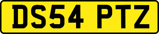 DS54PTZ