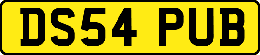 DS54PUB