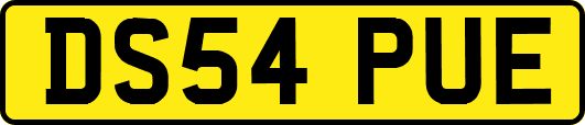 DS54PUE