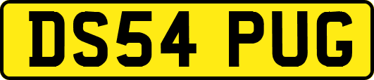 DS54PUG
