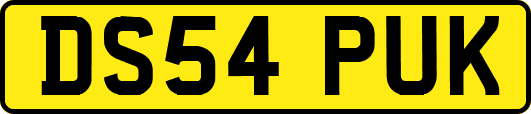 DS54PUK