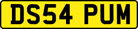 DS54PUM