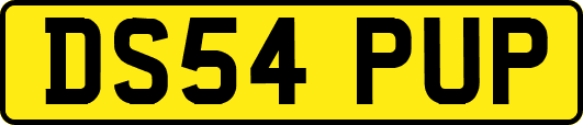 DS54PUP