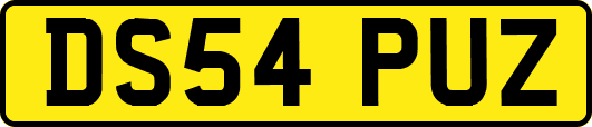DS54PUZ