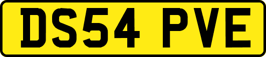 DS54PVE