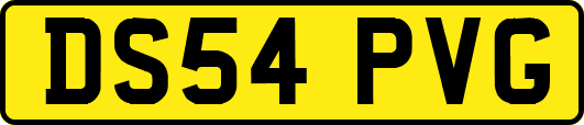 DS54PVG