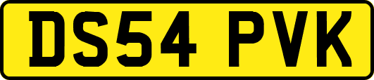 DS54PVK