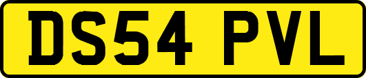 DS54PVL
