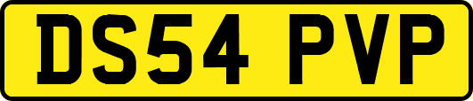 DS54PVP