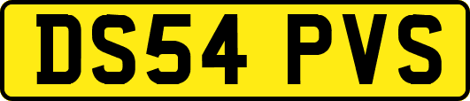 DS54PVS
