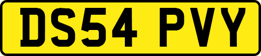 DS54PVY