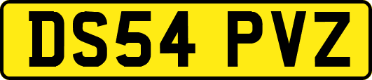 DS54PVZ