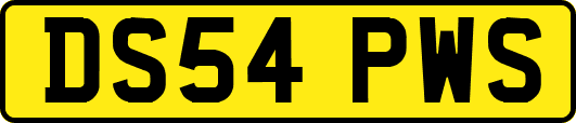 DS54PWS