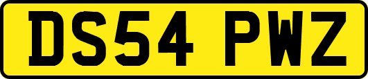 DS54PWZ