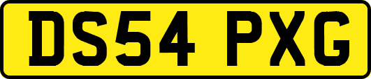 DS54PXG