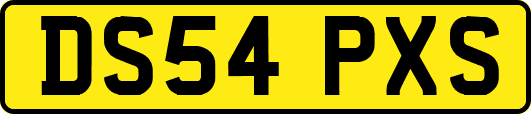 DS54PXS