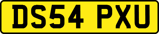 DS54PXU