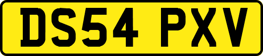 DS54PXV