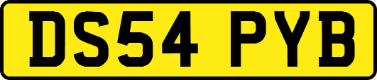DS54PYB