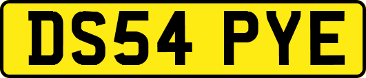 DS54PYE