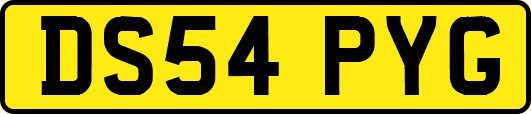DS54PYG