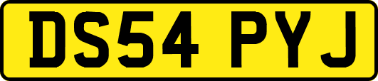 DS54PYJ