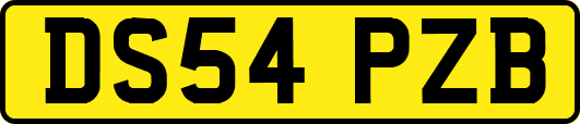 DS54PZB