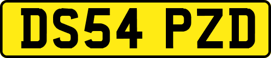DS54PZD