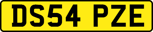 DS54PZE