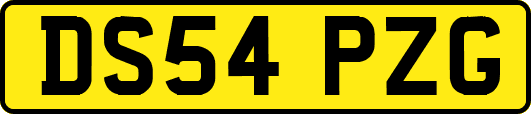 DS54PZG
